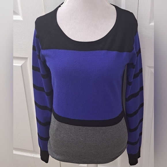 Carolyn Taylor Sweaters - Carolyn Taylor Colorblock Raglan Sweater   Size XL